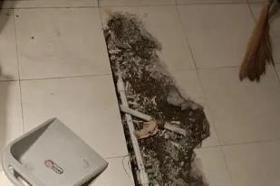 津市卫生间漏水检测电话